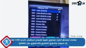مفاجأة لعشاق الكرة: نصائح ذهبية لضمان استقبال إشارة 100% لقناة يلا سبورت والدوري المصري والإنجليزي دون انقطاع!
